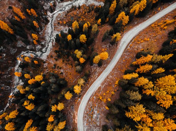Autumn Forest Road from Above Free Stock Photo