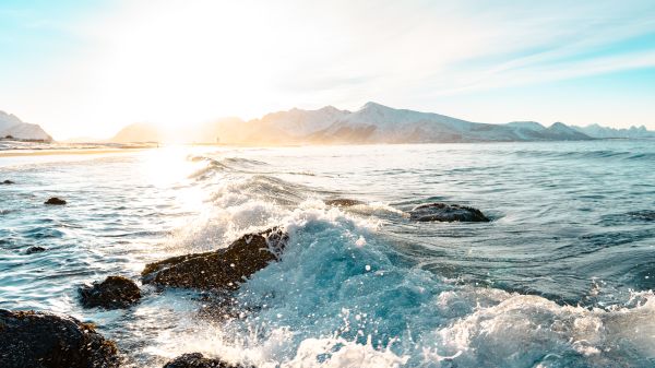 Crushing Wave near Norwegian Shore Free Stock Photo