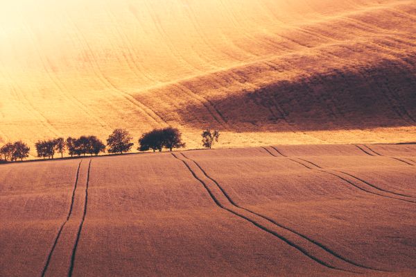 Endless Hills Free Photo