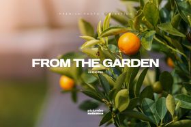 From The Garden Collection