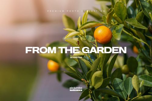 From The Garden Collection
