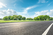 Country road and green forest natural landscape