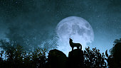 Wolf howling to the moon