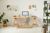 Comfortable workplace with potted plants, wall organizer, pictures and computer