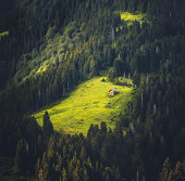 Lonely Little Houses Blending in Nature
