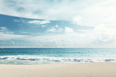 tropical beach