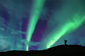 Northern Lights in Iceland