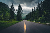 Forest road on a cloudy day.