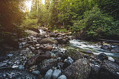 Beautiful stream in mountains