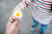 Parent and child hands handing white flower