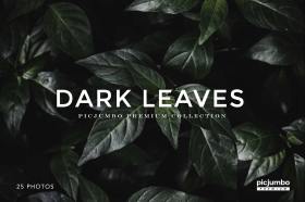 Dark Leaves Collection