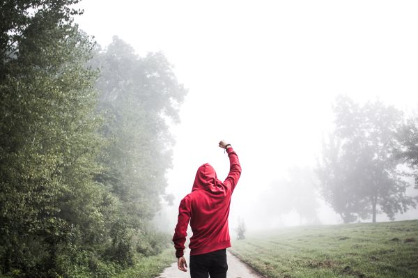 Motivation Rocky Balboa Winner Pose Free Stock Photo