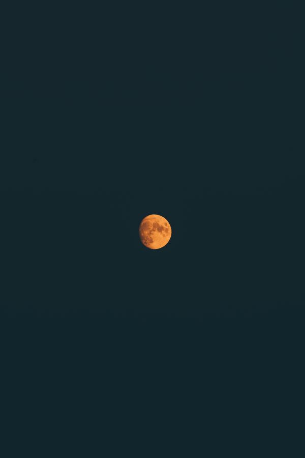 Orange Moon Free Photo