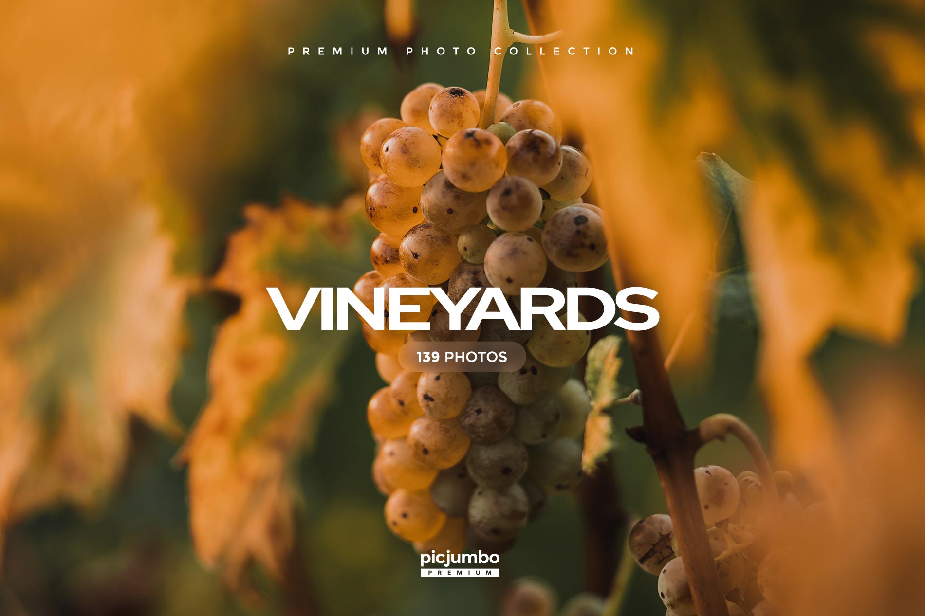 Vineyards Stock Photo Collection